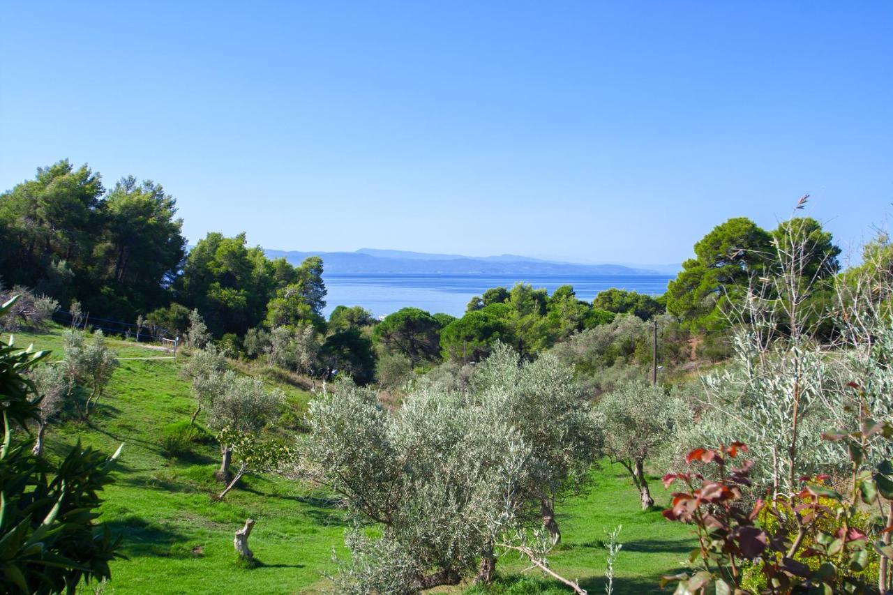 Angelos Studios Vromolimnos 外观 照片